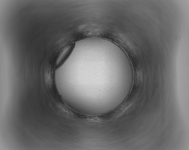 X0000111591250200907301419