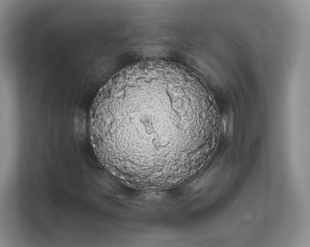 X0000111591251200907301419