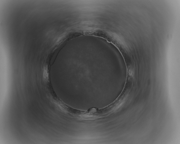 X0000111591252200907301419