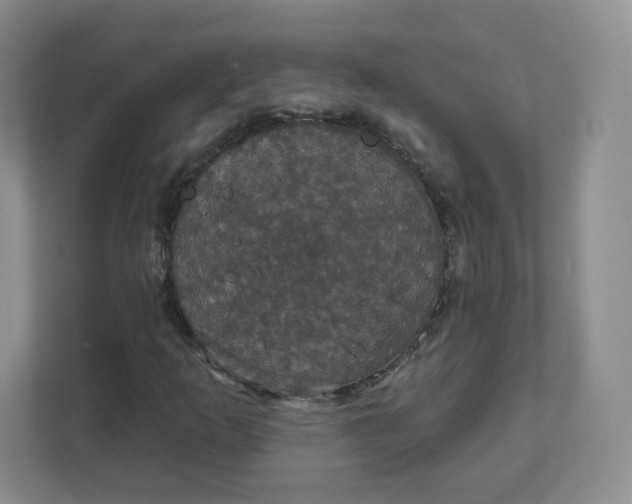 X0000111591253200907301419