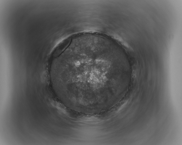 X0000111591256200907301419