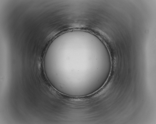 X0000111591257200907301419