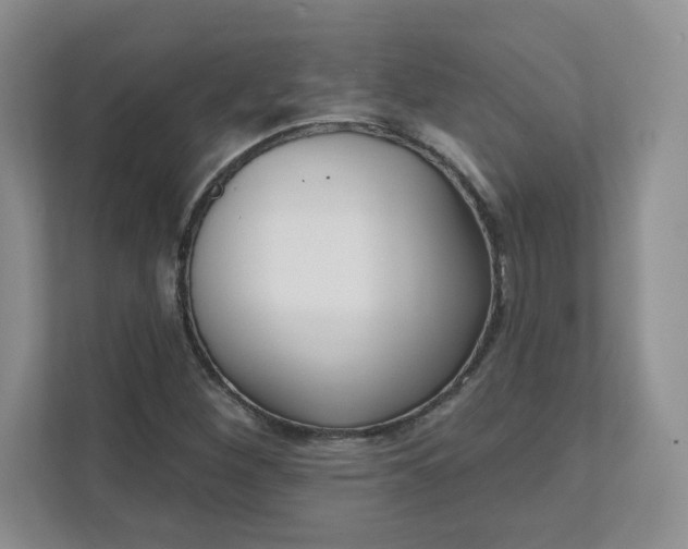 X0000111591260200907301419