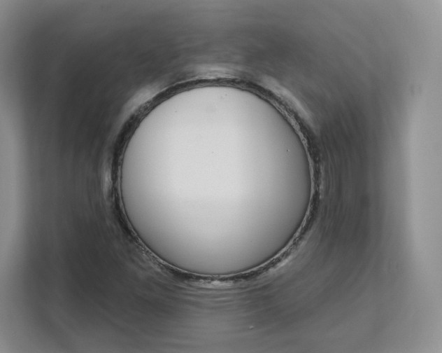 X0000111591261200907301419