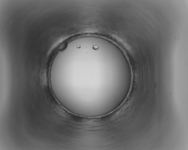 X0000111591262200907301419