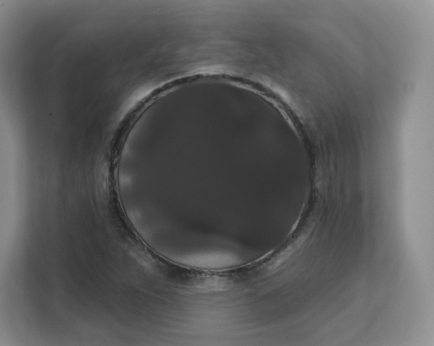 X0000111591263200907301419