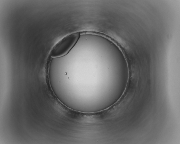 X0000111591264200907301419