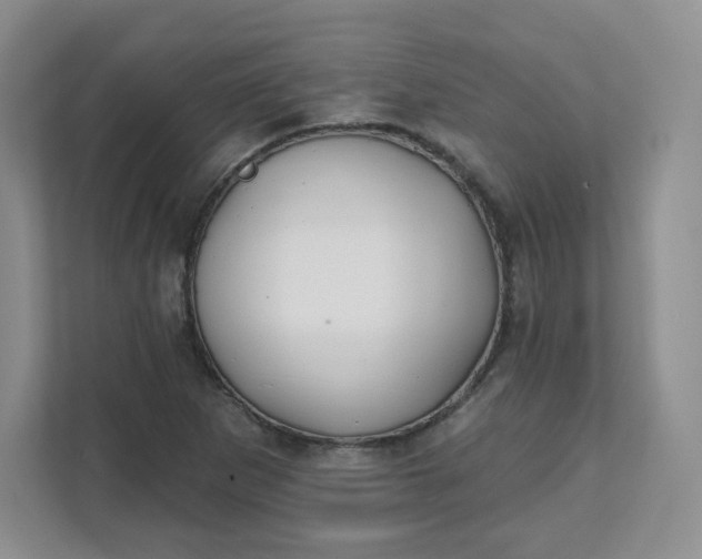 X0000111591265200907301419