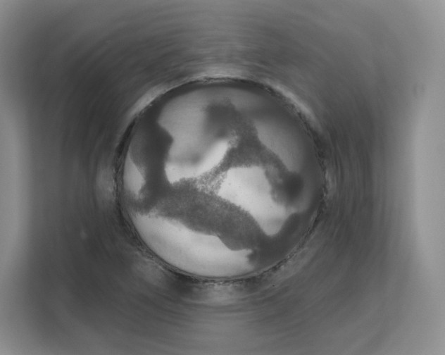 X0000111591266200907301419