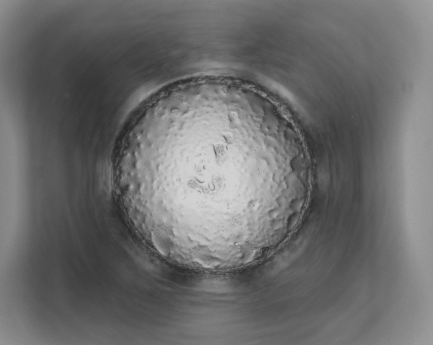 X0000111591267200907301419