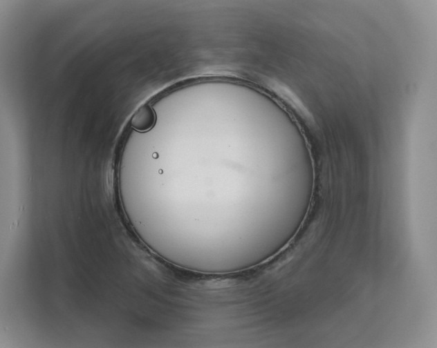 X0000111591268200907301419