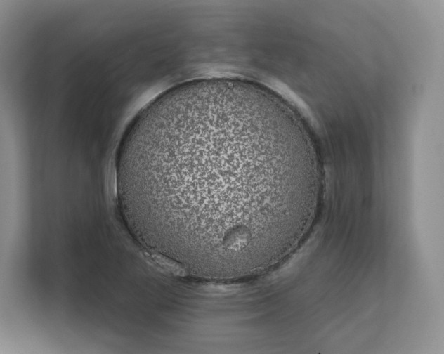 X0000111591269200907301419