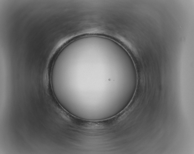 X0000111591270200907301419