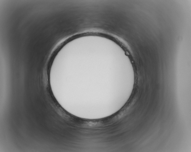 X0000111591271200907301419