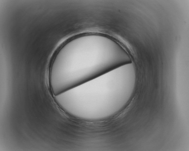 X0000111591272200907301419