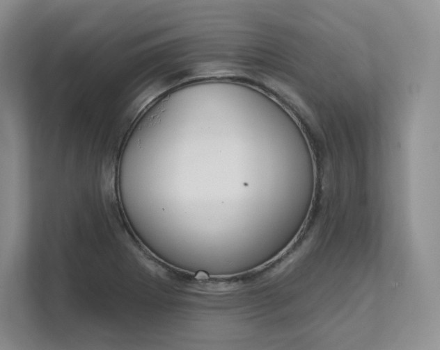 X0000111591273200907301419