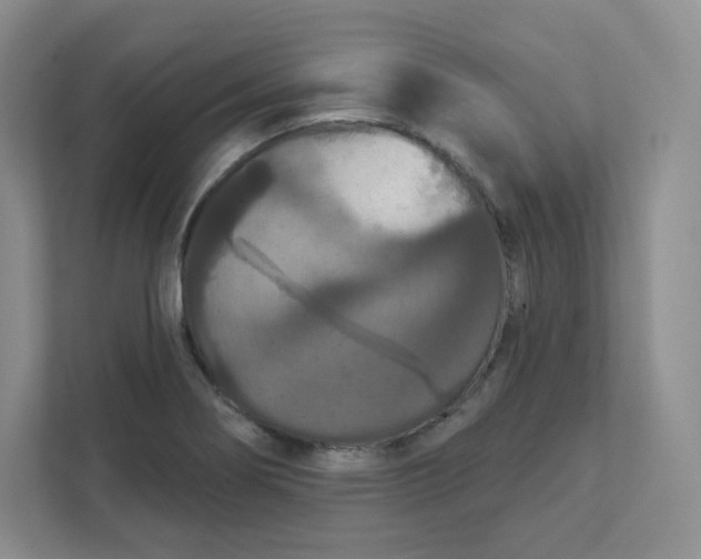 X0000111591274200907301419