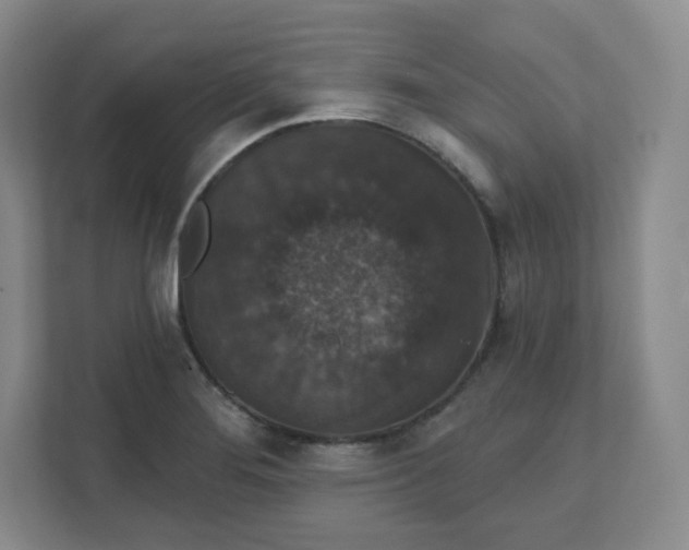 X0000111591276200907301419