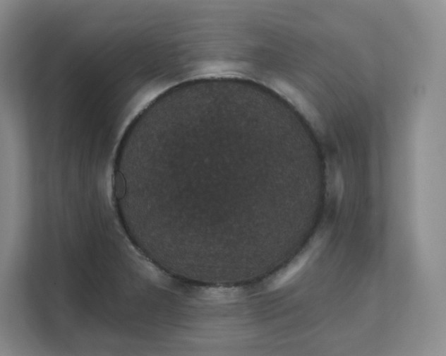 X0000111591277200907301419