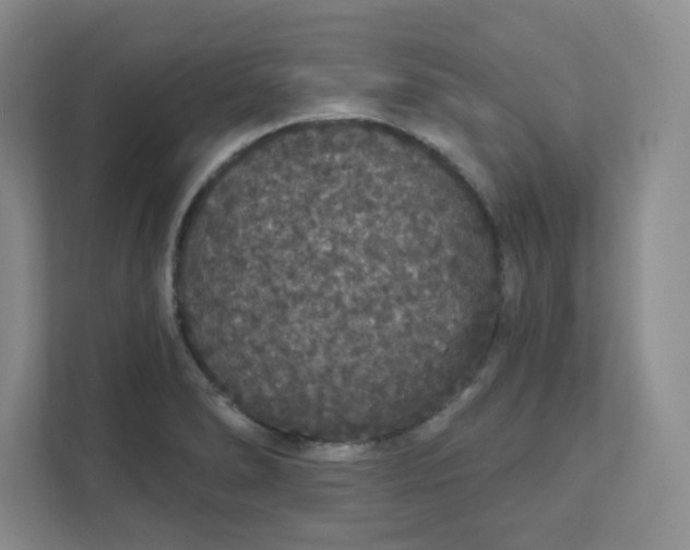 X0000111591278200907301419