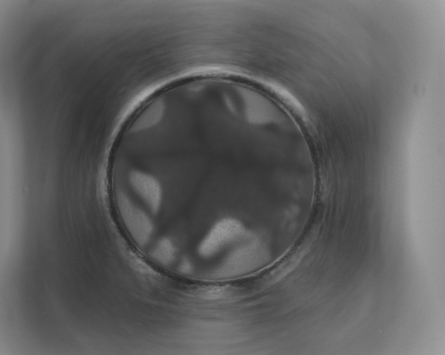 X0000111591279200907301419