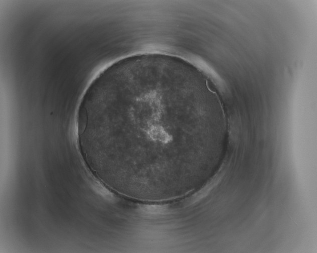 X0000111591280200907301419