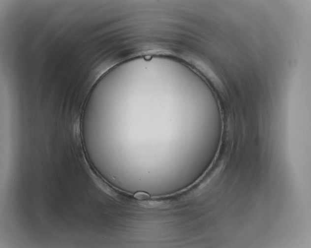 X0000111591281200907301419