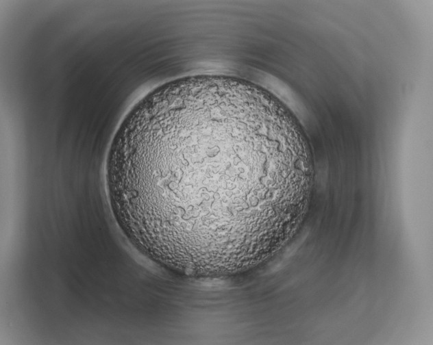 X0000111591283200907301419