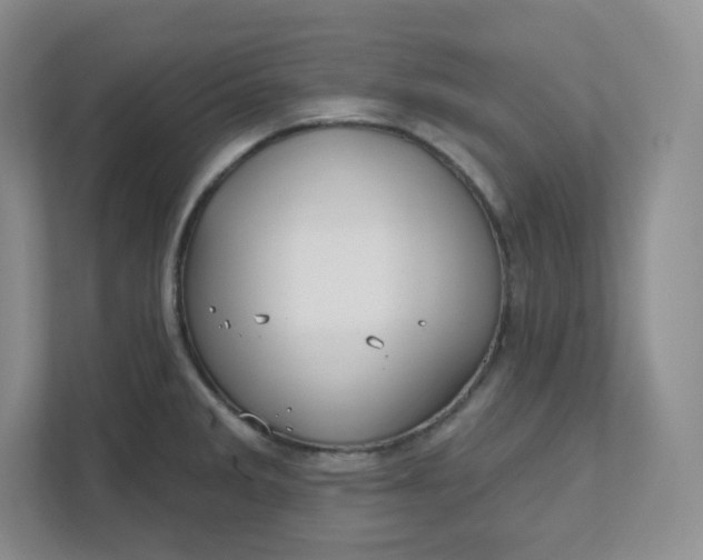 X0000111591285200907301419