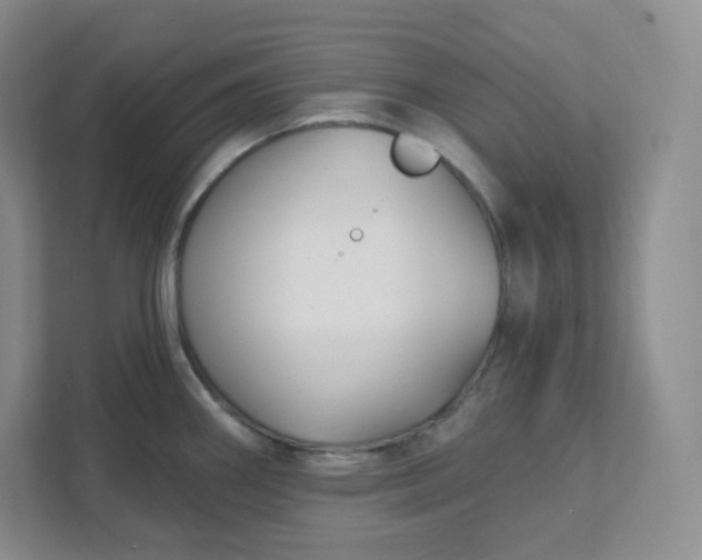 X0000111591290200907301418