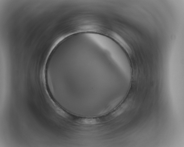 X0000111591291200907301418