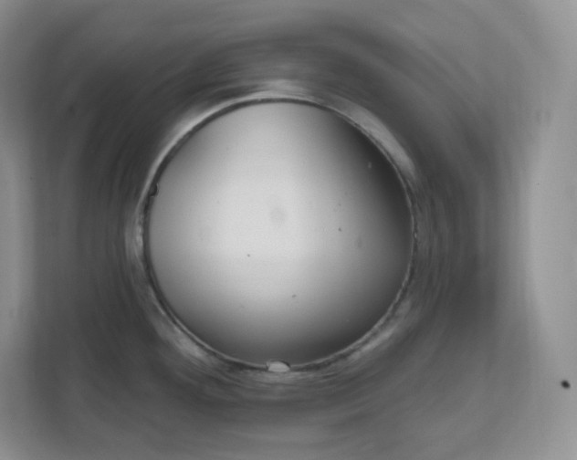 X0000111591292200907301418