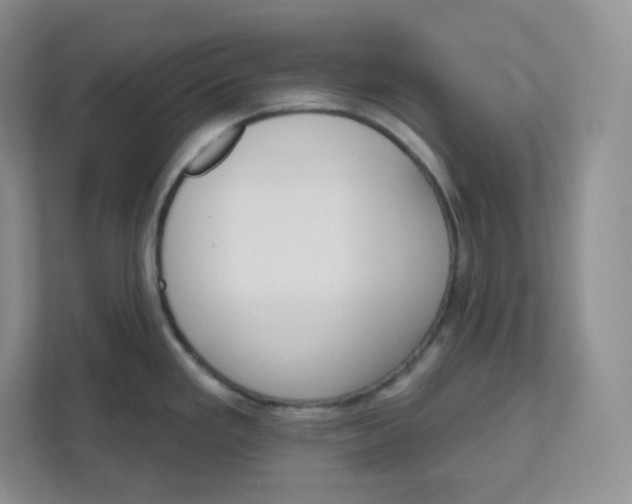 X0000111591293200907301418