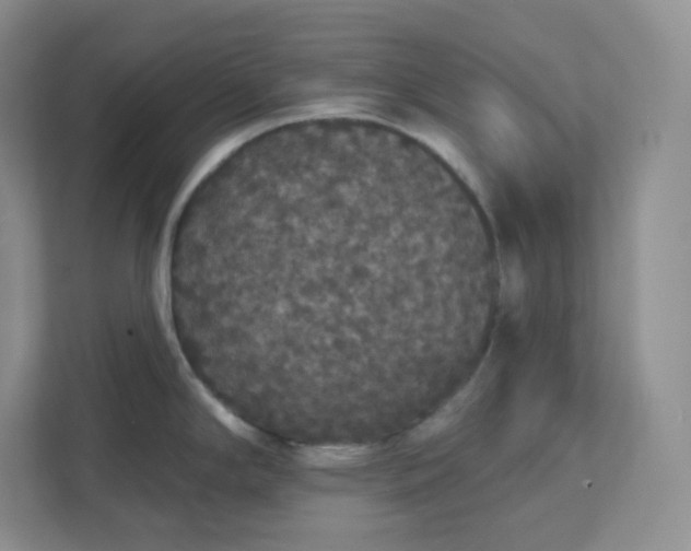 X0000111591294200907301418