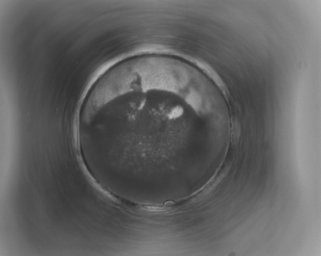 X0000111591295200907301418