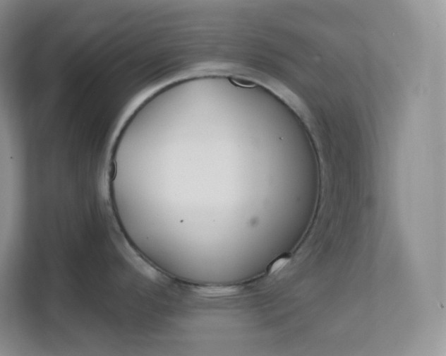 X0000111591296200907301418