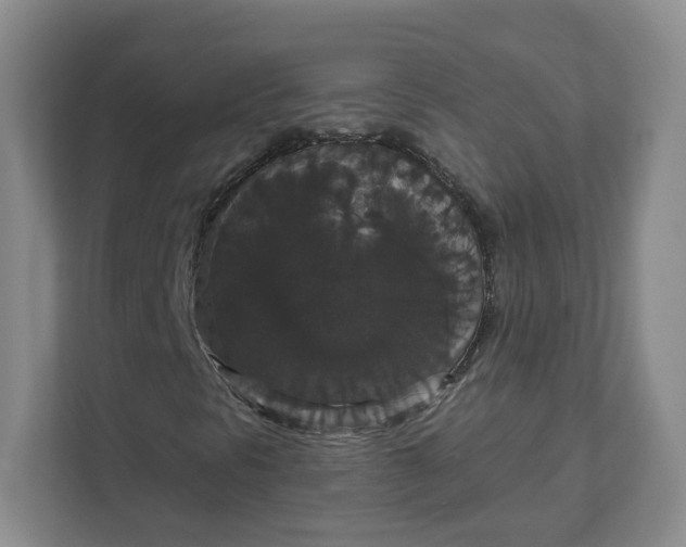 X0000111591297200907301418