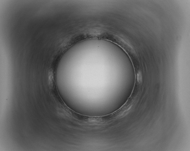 X0000111591299200907301418