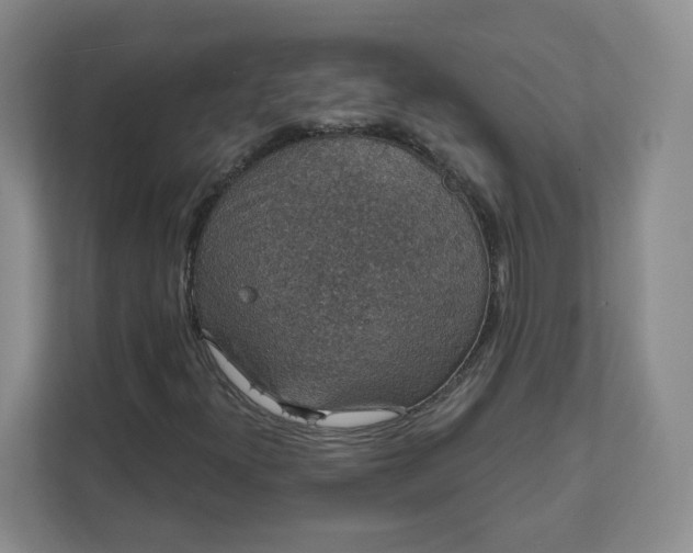 X0000111591300200907301418