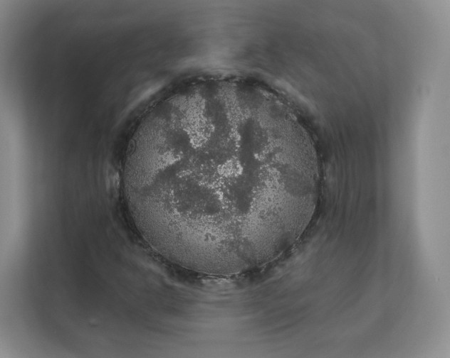 X0000111591302200907301418