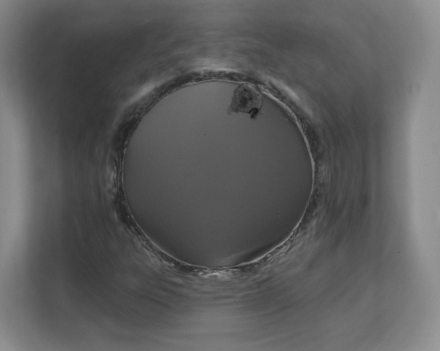 X0000111591303200907301418