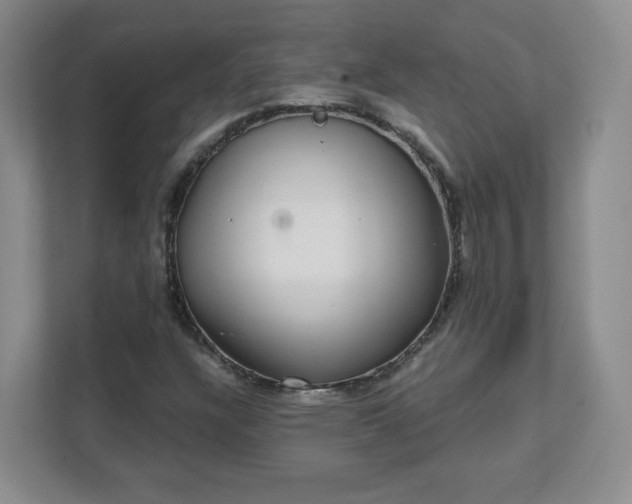 X0000111591304200907301418