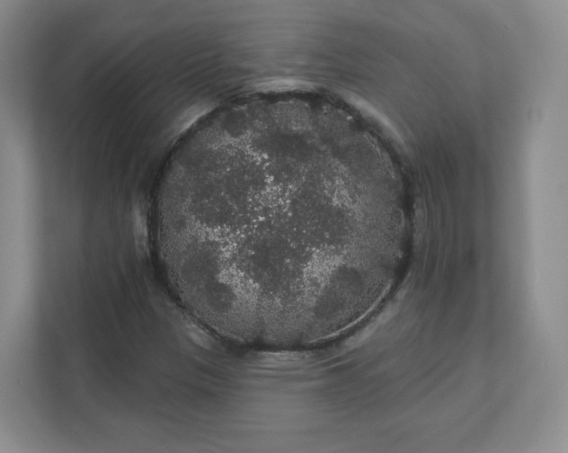 X0000111591305200907301418