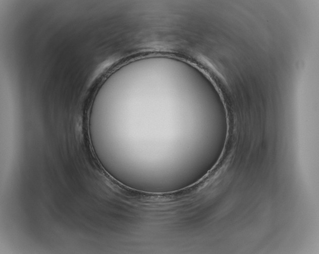 X0000111591307200907301418