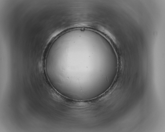 X0000111591308200907301418