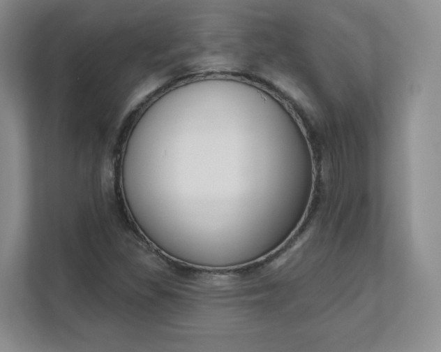 X0000111591309200907301418