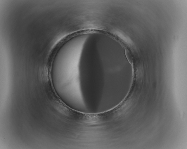 X0000111591310200907301418