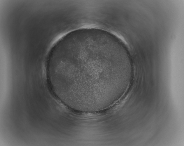 X0000111591311200907301418