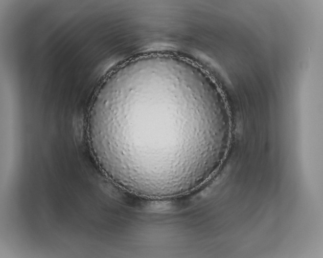 X0000111591313200907301418