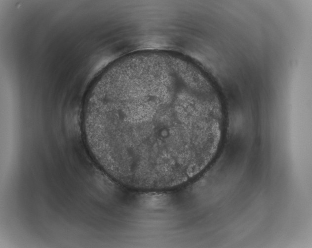 X0000111591314200907301418